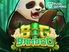 Bingo flash casino55